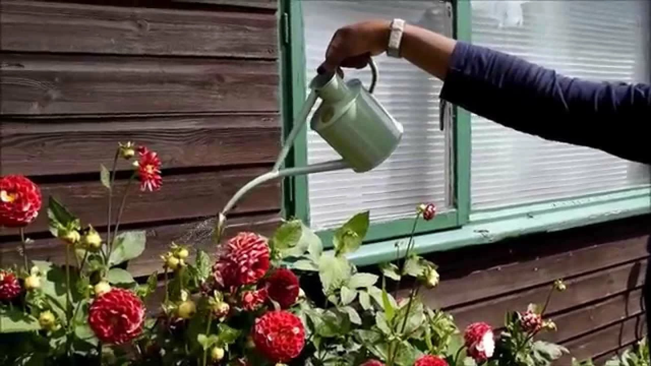 Gardener Select Shop 3 Gardener Select Shop -Gardener Select Shop 308 1