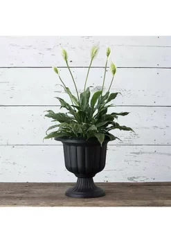 Novelty Outdoor Classic Urn, Flower Planter/Pot, Plastic, Black, 14" (Pack of 1) -Gardener Select Shop Belk 109