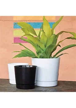 Novelty Full Depth Cylinder Pot, White, 10 Inch -Gardener Select Shop Belk 115