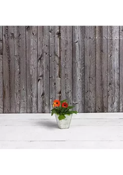 Novelty (#35080) Ella Square Planter, Artstone Collection, Mint - 6 inch -Gardener Select Shop Belk 140