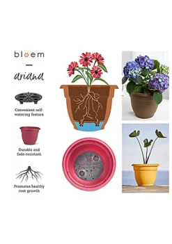 Novelty Ariana Plastic Outdoor Planter/Flower Pot Thyme Green, 8" -Gardener Select Shop Belk 150