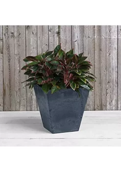 Novelty ArtStone Novelty 35188 Square Ella Planter/Flower Pot, Black, 18-Inch -Gardener Select Shop Belk 159