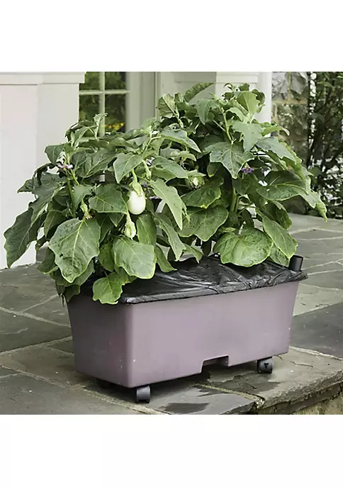 Novelty (#80156) EarthBox Natural Garden Kit - Eggplant 2 Novelty (#80156) EarthBox Natural Garden Kit - Eggplant - Image 2