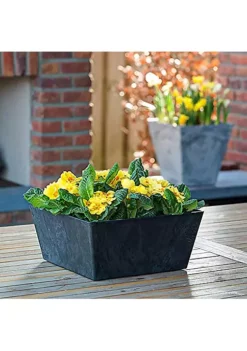 Novelty Ella Low Square Resin Planter/Flower Pot, Black, 12" 10 Novelty Ella Low Square Resin Planter/Flower Pot, Black, 12" -Gardener Select Shop Belk 211