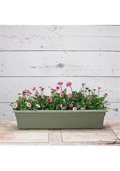 Novelty Countryside Flower Box, 30 Inch, Sage -Gardener Select Shop Belk 260