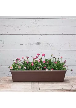 Novelty Countryside Flower Box, 30 Inch, Brown -Gardener Select Shop Belk 316