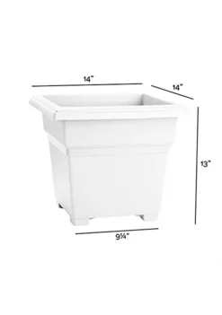 Gardener Select Shop -Gardener Select Shop Belk 319