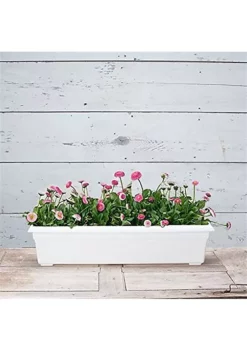 Novelty (#16302) Countryside Flower Box Planter, White - 30" 9 Novelty (#16302) Countryside Flower Box Planter, White - 30" -Gardener Select Shop Belk 324