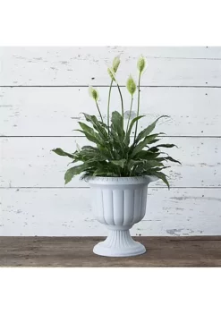 Novelty Classic Urn Plastic Planter, Stone Colored - 14" (Pack of 1) -Gardener Select Shop Belk 332