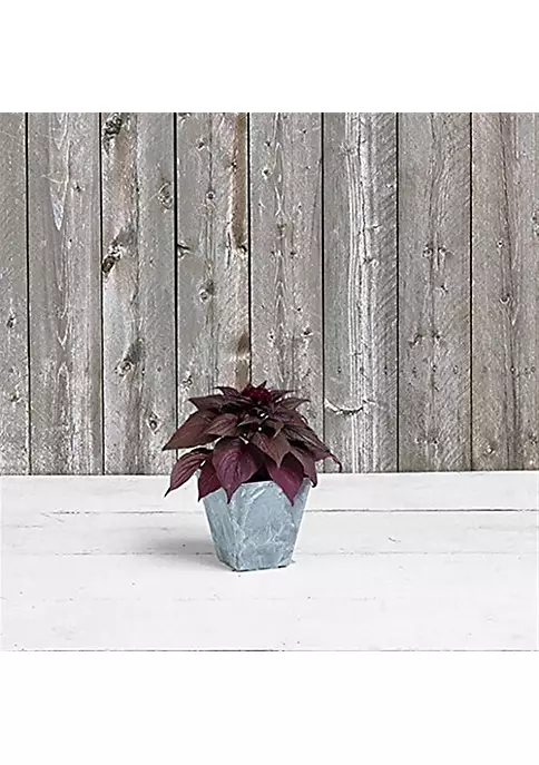 Novelty 35060 Ella Square Planter, Gray 6 inch 4 Novelty 35060 Ella Square Planter, Gray 6 inch - Image 4