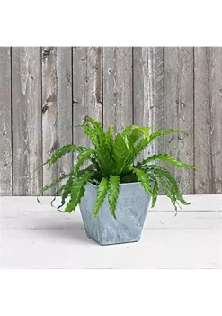 Novelty 35080 Ella Square Planter, Gray 8 inch -Gardener Select Shop Belk 439