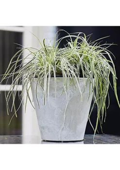 Novelty ArtStone Napa Round Planter - Grey - 6" -Gardener Select Shop Belk 444