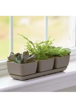 Novelty 10013 Herb & Succulent Trio Planter/Flower Pot, Taupe, 12" -Gardener Select Shop Belk 471