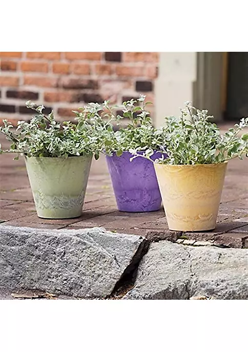 Novelty (#08061) Round Napa Planter, Sage, 6-Inch 5 Novelty (#08061) Round Napa Planter, Sage, 6-Inch - Image 5