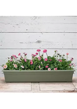 Novelty Countryside Flower Box Planter, Sage 36inch -Gardener Select Shop Belk 540