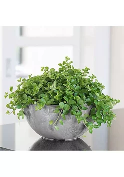 Novelty ArtStone Napa Bowl - Grey - 10