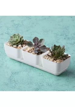 Novelty Manufacturing (#10082) Full Depth Round Cylinder Pot, White, 8 inches