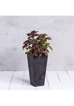 Novelty (#35278) Artstone Ella Tall Square Planter, Black - 27.5-inch -Gardener Select Shop Belk 62